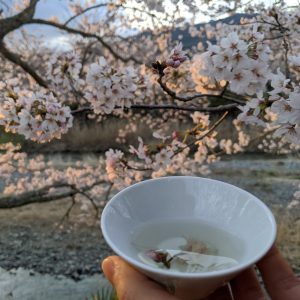 japoniska sakuru arbata